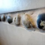 Tatil Evi Rural Les Petites Tetes