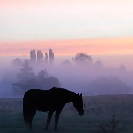 Vakantiehuis Rural Les Petites Tetes *