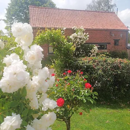 Rural Les Petites Tetes Leuze-en-Hainaut