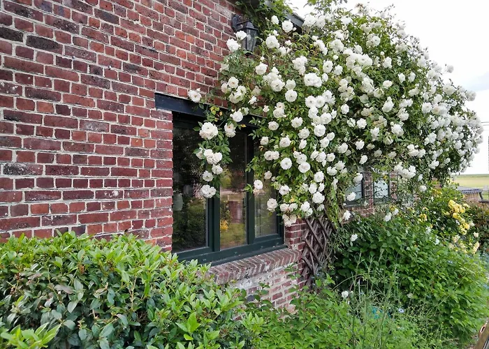 Rural Les Petites Tetes *