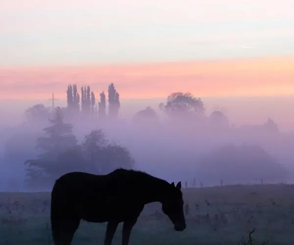 Dom wakacyjny Rural Les Petites Tetes *